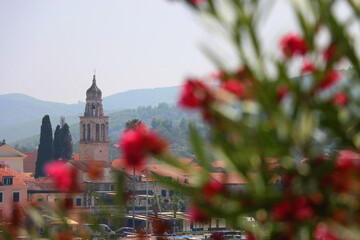 Picturesque small town Vela Luka, on island Korcula, in Croatia. Selective focus, pink oleander...