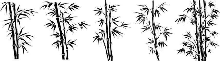 illustration with bamboo collection on white background