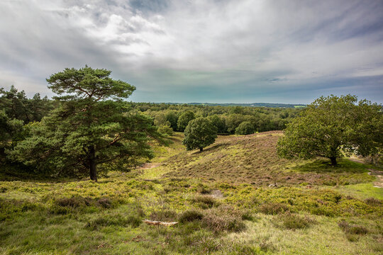 Landscape Impression and hiking trail of mount Boxberg, Aukrug in Schleswig-Holstein, Germany, in summer outdoors