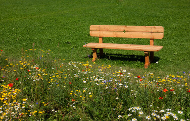 Fototapeta premium Wooden park bench in grass in front of flower meadow in blossom 