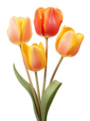 Naklejka premium AI Generative bouquet tulips watercoler style isolated on transperent background