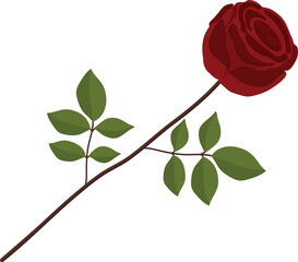 Illustration of beautiful red rose isolated on white. Perfect for background greeting cards and invitations of the wedding, birthday, Valentine's Day