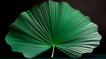 large open tropical green leaf on dark background for graphic composition