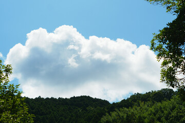 Obraz premium 青空