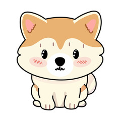 dog akita kawaii, cute character cartoon vector illustration