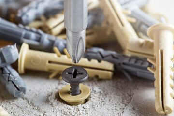 screwdriver screw and dowel in a concrete wall background