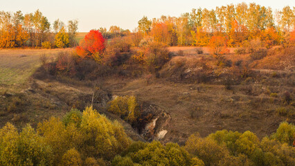 Obraz premium autumn forest in the mountains