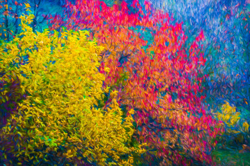 Blue sky over a field of yellow corn
