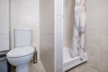 toilet and detail of a corner shower cabin with wall mount shower attachment