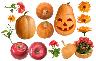 Red and orange autumn puppkins and flowers  isolated on white background. Autumn halloween set