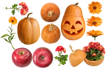 Poster Red and orange autumn puppkins and flowers  isolated on white background. Autumn halloween set © Vlada