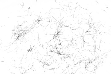 Cutting black hair isolated on white. Black hair cut off on white background.