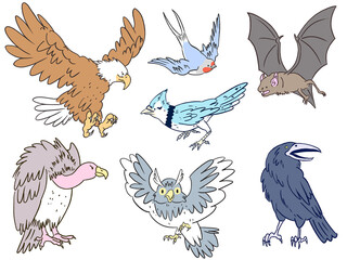 Set of cute flying animals illustrations eagle, swallow, bat, vulture, blue jay, owl, crow