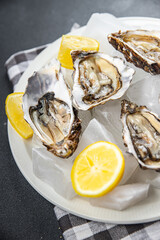 oyster seafood fresh meal oysters food snack on the table copy space food background rustic top view