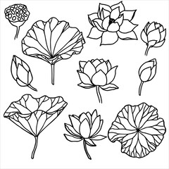 Set of vector hand drawn lotus flowers ans buds black line art illustration. Outline floral drawing for for logo, tattoo, packaging design, compositions. Water Lily botanical vector design.