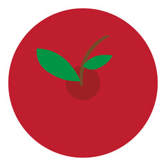 top view of an apples vector illustration