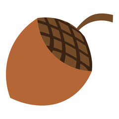 Oak corn autumn Illustration decorative element