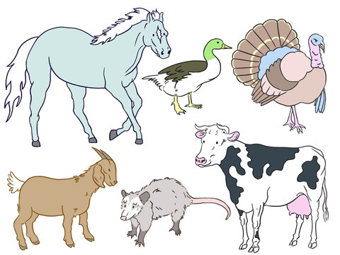 Set of cute animals illustrations horse, duck, turkey, goat, possum, cow