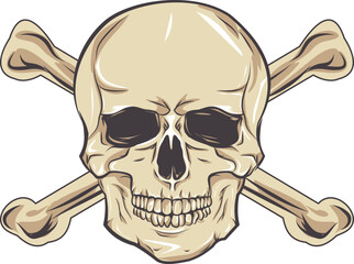 Vector human skull. . death shirt design Pirate emblem concept. halloween concept