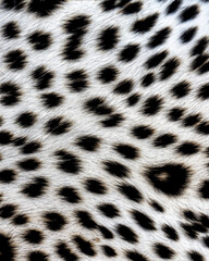 Generated photorealistic white leopard skin texture	

