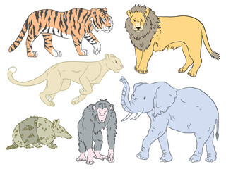 Set of cute animals illustrations tiger, lion, puma, elephant, armadillo, chimpanzee