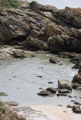 rocks in the water