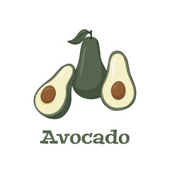 Vector icon of avocado. avocado fruit in flat design. vector illustration