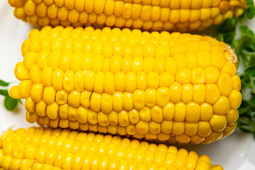 sweetcorn boiled fresh cob corn cooking vegetable corn healthy meal food snack on the table copy space food background rustic top view