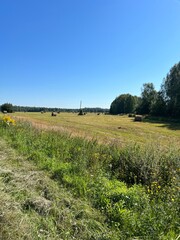 landscape with a field and sky