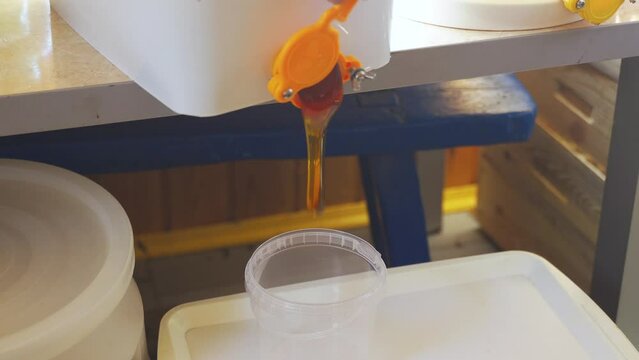 Small business, manufacturing. The beekeeper pours honey into plastic containers for later sale. Close-up.