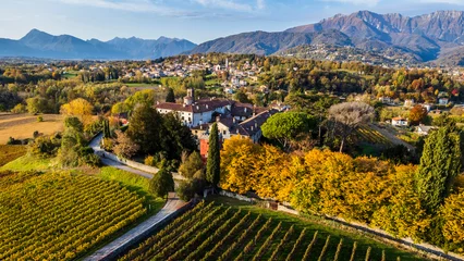 Crédence de cuisine en verre imprimé Vignoble Autumnal magic and emotions on the ancient village. Between vineyards and colorful woods. Friuli. Top view