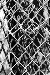 Naklejka premium A security chain link fence in black and white.