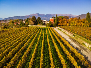 Fototapeta na wymiar Autumnal magic and emotions on the ancient village. Between vineyards and colorful woods. Friuli. Top view