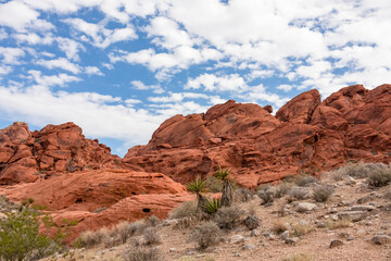 Fototapeta premium Close up view of rock formation of Aztec sandstone slickrock rock formation on the Calico Hills Tank Trail, Red Rock Canyon National Conservation Area in Mojave Desert near Las Vegas, Nevada, USA