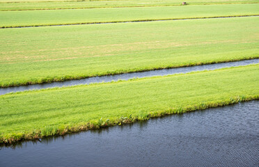Natural flood zone, canals and green lawns around Reeuwijk, Holland, The Netherlands