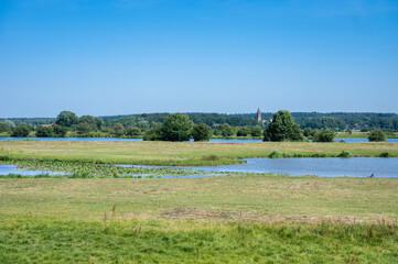 Nature reserve with small water ponds, heather and grasses at the Dutch countryside around Ingen, The Netherlands