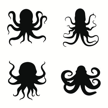 Octopus silhouettes and icons. Black flat color simple elegant Octopus animal vector and illustration.