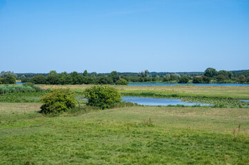 Nature reserve with small water ponds, heather and grasses at the Dutch countryside around Ingen, The Netherlands
