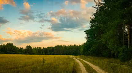 A path field and a mysterious forest against the background of sunset