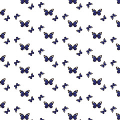 butterfly pattern