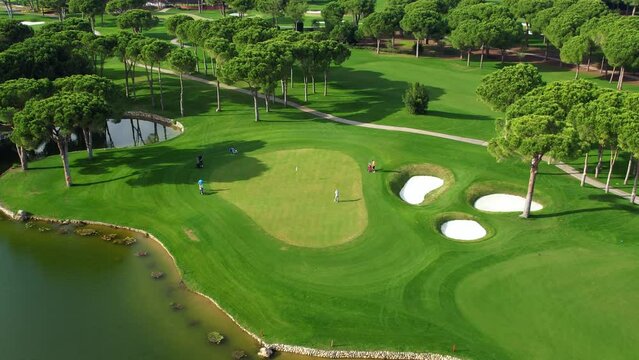 Golfers on the golf course, aerial view. Playing Golf. Active lifestyle. Golf club, top view