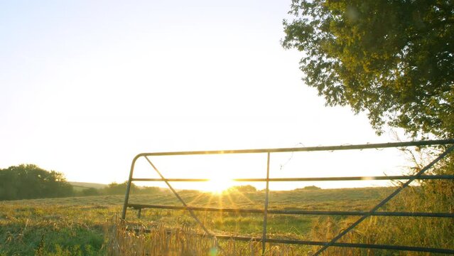 sunrise timelapse in a field