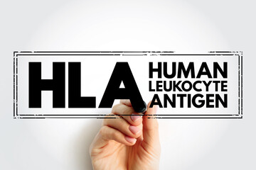 HLA Human Leukocyte Antigen - complex of genes on chromosome 6 in humans which encode cell-surface...