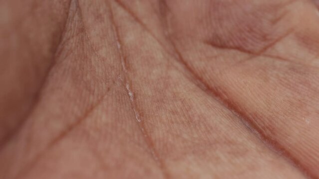 Human Skin with Texture and Details 