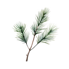 Pine branch watercolour illustration. clipart for design. Christmas elements. isolated on transparent background. Generative ai