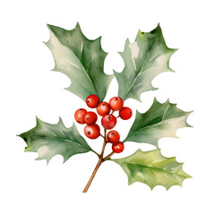 Holly leaves and berry watercolour illustration. clipart for design. Christmas elements. isolated on transparent background. Generative ai
