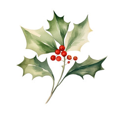 Fototapeta premium Holly leaves and berry watercolour illustration. clipart for design. Christmas elements. isolated on transparent background. Generative ai