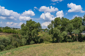 Fototapeta na wymiar landscape with trees and sky