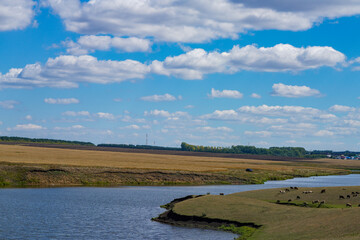 Landscape overlooking the river