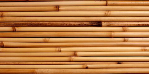 Bamboo pattern. Background with many bamboo, natural texture and knots of the bamboo stem.